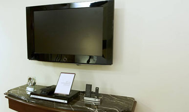 Office Flat Panel TV
