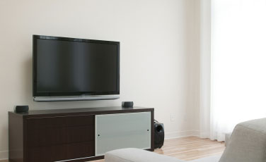 Living Room Flat Panel TV